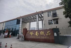 崇州嶺南紙品4噸低氮燃氣蒸汽鍋爐